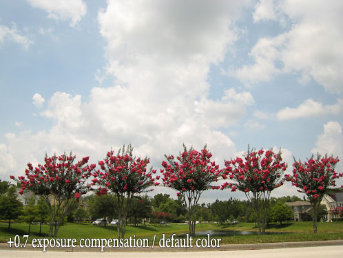 Combining Exposure Compensation and Color Adjustment
