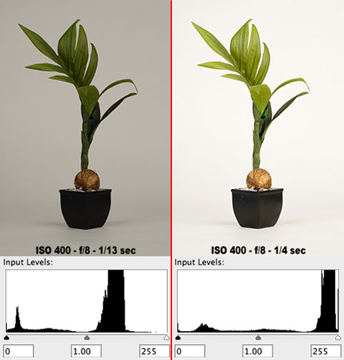 Matrix Metering vs Hand-Held Incident Metering