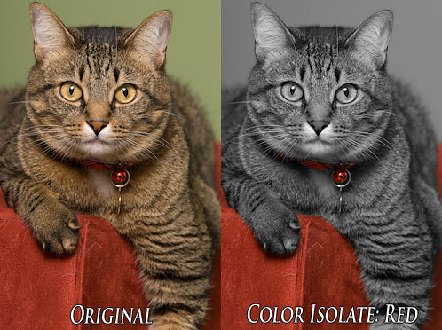 Color Isolate: Before & After